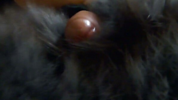 Una mora ha il fidanzato nella sua stanza porno gratis bello e fa sesso anale